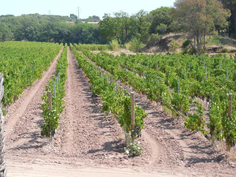 La Bastide Du Clos Des Roses - Teritoria Fréjus Exteriér fotografie