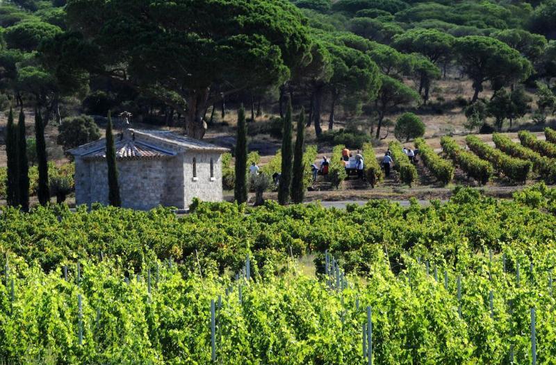 La Bastide Du Clos Des Roses - Teritoria Fréjus Exteriér fotografie